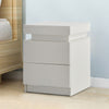 2/3 Drawers High Gloss Front Bedside Table Cabinet LED Nightstand Black/White