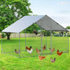 Large Spire-Shaped Chicken Coop Galvanized Metal Hen House Ducks Walk-in Pen Run