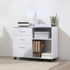 Freestanding Storage Cabinet w, 3 Drawers 2 Shelves 4 Wheels Office Home