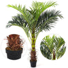 Large Artificial Palm Tree Tropical Plants with Branches Realistic Leaves in Pot