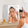 10L Mini Fridge with LED Mirror Portable Cooler Warmer Food Drinks Skincare Car