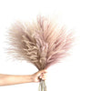 10/30PCS Natural Dried Pampas Grass Reed Flower Bunch Bouquet Wedding Home Decor