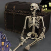 Full Life Size 170cm Halloween Human Skeleton Bones Posable Skull Hanging Party