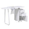 White Professional Manicure Table Salon Nail Station Beauty Desk +Dust Collector