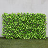 Garden Expandable Hedge Screening Fence Artificial Laurel Leaf Wicker Fencing UK