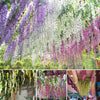1/3/12/24pcs Artificial Wisteria Flower Garland Vine Wedding Party Hanging Decor