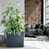 Tall Rectangle Planter Floor Standing Indoor Outdoor Patio Plant Pot Trough