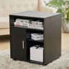 Mobile Home Office Filing Cabinet Printer Stand Unit 360 Degree Casters w/ Door