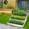 UK City Garden Raised Bed Elevated Flower Vegetable Grow Planter Box Seed Soil