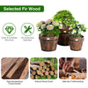 3PCS Wooden Planter Barrel Set Garden Patio Nesting Burnt Wood Bucket Planters