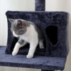 Cat Tree Cat Tower Cat Condo with Scratching Posts, Ladder for Cats Kitten Grey