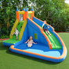 Inflatable Bouncy Castle Water Park Double Water Slide Outdoor Blow Up Bouncer