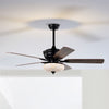 Ceiling Fan with Light Remote Control IndoorCeiling Lamps 3 Wind Speeds 132cm