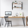 2-Tier Wall Mounted Shelf Display Rack Floating Storage Shelves Metal Frame