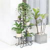 Anti Rust Iron Plant Stand Multiple Flower Pot Shelf Holder Indoor Outdoor Rack