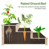 Raised Garden Bed Set Flower Vegetables Seeds Planter Kit Elevated Rectangle Box