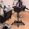 Hair Salon Trolley Cart Tray Hair Coloring Beauty Station Grooming 2 Tool Holder
