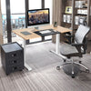 Electric Standing Desk Stand-up Ergonomic Computer Workstation Smart Controller