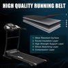 Electric Treadmill Folding Runing Walking Machine 1.5HP Bluetooth 12 Programs NS