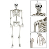 160cm Posable Skeletons Realistic Spooky Full Body Hanging Halloween Prop Decor