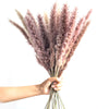 10/30PCS Natural Dried Pampas Grass Reed Flower Bunch Bouquet Wedding Home Decor
