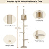 Floor to Ceiling Cat Tree Tower Climbing Activity Center Scratching Post Condo