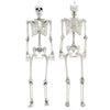 160cm Posable Skeletons Realistic Spooky Full Body Hanging Halloween Prop Decor