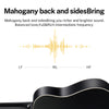 🔥Donner 41 inch Maghony Acoustic Guitar 4/4 Dreadnought Guitars +String Gig Bag