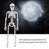 Halloween Poseable Skeleton Full Life Size Human Skeleton Decoration Prop 165 cm