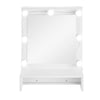 Bathroom Cabinet with LED Light 1 Shelf 1 Towel Rack Wall Mounted Storage