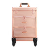 Large Vanity Makeup Beauty Trolley Moblie Hairdressing Nail Storage Case Drawers