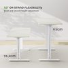 Electric Standing Desk Height Adjustable Desk Ergonomic Sit Stand Office Desk