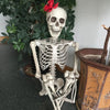 Full Life Size 170cm Halloween Human Skeleton Bones Posable Skull Hanging Party