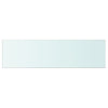 Shelf Panel Tempered Glass Clear Sheet Storage Shelving Display Shelves Rack