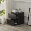 2 Drawers Black Bedside Cabinet Storage Nightstand Bedroom Chest Of Drawers