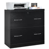 2-Drawer File Cabinet Vertical Freestanding Lockable Storage Cabinet organizer