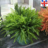 Large Artificial Plants Fake Leaf Foliage Bush Home Office Garden Outdoor Decor
