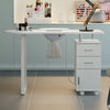 White Professional Manicure Table Salon Nail Station Beauty Desk +Dust Collector
