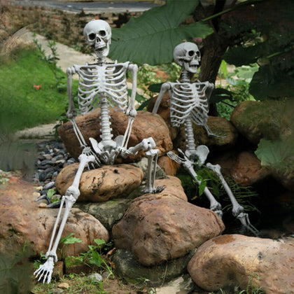 170CM Halloween Real Life Size Human Skeleton Model Perfect Decor Bones Decor UK