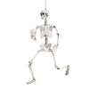 Full Life Size Human Hanging/Sitting Skeleton Prop Halloween Party Decoration