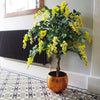 Large Blossom Tree Artificial Wisteria 4ft 120cm Yellow