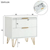 2Pcs Bedside Table w/ 2 Drawers Bedside Cabinet Metal Frame for Living Room NS