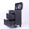 Large Makeup Trolley Case Travel Nail Beauty Hairdressing Drawer Organizer Box