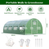 Outdoor Walk-in Tunnel Greenhouse Garden Planter Growth Tent w/ 10 Windows 3MX6M