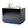 LED Bedside Table Chest of Drawer with 2 Drawers High Gloss with USB Light Black
