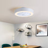Modern LED Ceiling Fan Light Adjustable Wind Speed Remote Control Dimmable Lamps