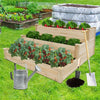 Raised Garden Bed Set Flower Vegetables Seeds Planter Kit Elevated Rectangle Box