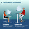 Flamaker 140x70 cm Electric Standing Desk Height Adjustable Computer Desk