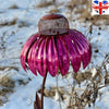 Creative Sensation Pink Coneflower Bird Feeder Outdoor Garden Yard Decorations