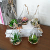 6-36PC Glass Teardrop Shaped Tea light Candle Holders Bauble Wedding Centerpiece